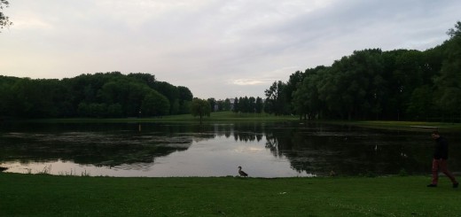 20160525_210918-2064x1161