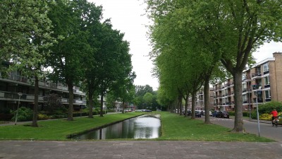 zuidwijk groen